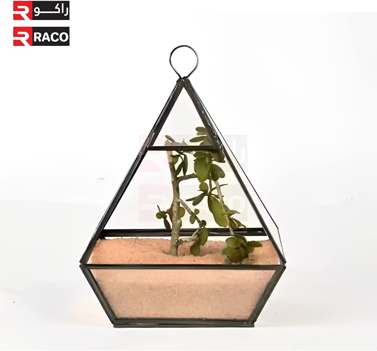 RACO Multi Purpose Natural Sand for Construction Flooring Aquarium Plants and DIY