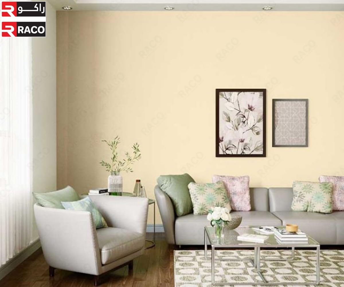 RACO Asianpaints Berger Value Stucco Extra Mix Water Based Putty Filler White