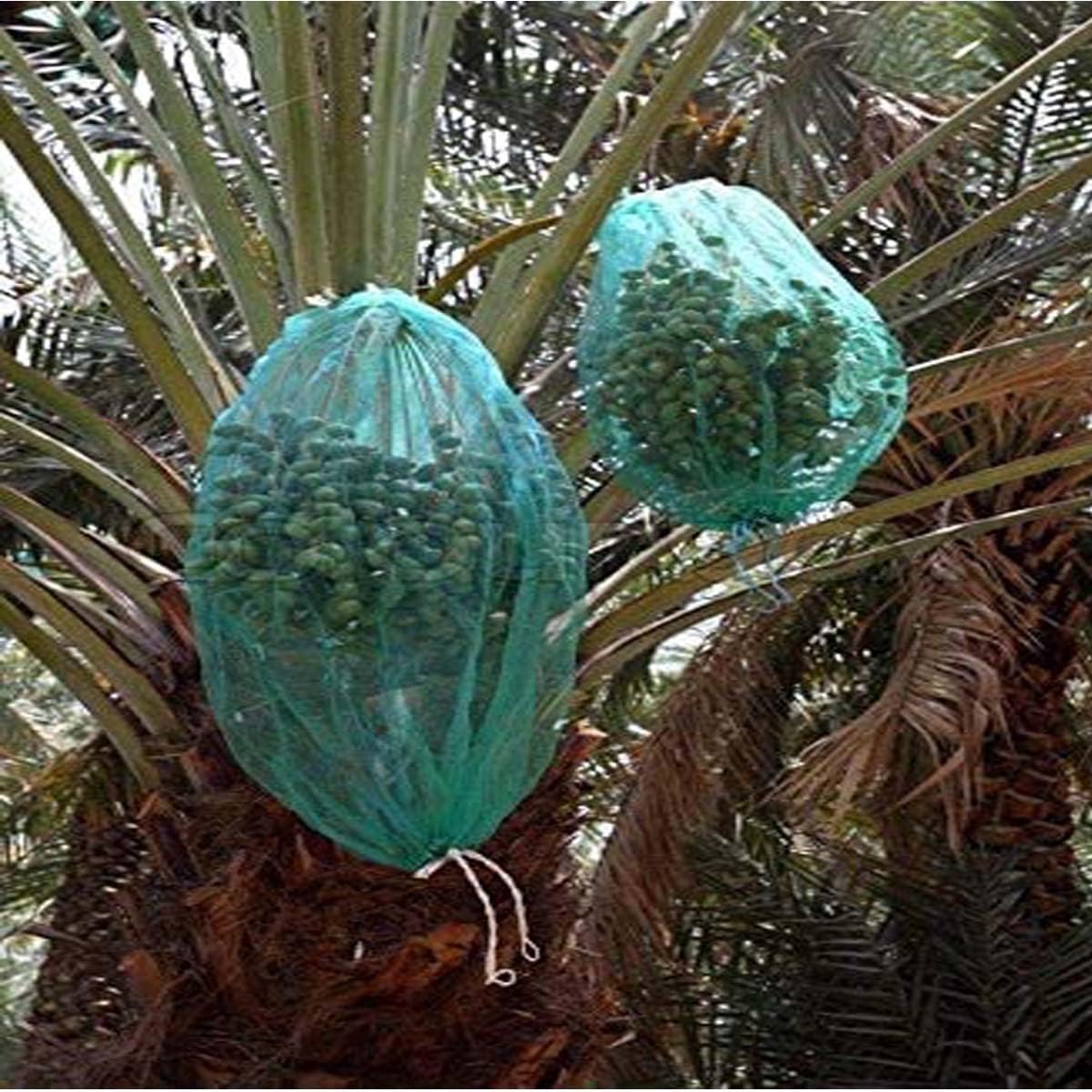 RACO Dates Cover Net Type 65x95 CM with Strong Black Rope, Date Palm Bag/Kajur Bag, Suitable for Protecting The Dates on The Tree.